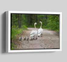 Load image into Gallery viewer, Canvas Floater Frames | Floating Canvas Tray Frames | 22mm Deep in White - Multi Photo Frames