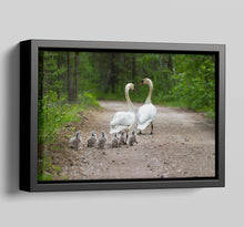Load image into Gallery viewer, Canvas Floater Frames | Floating Canvas Tray Frames | 40mm Deep in Black - Multi Photo Frames