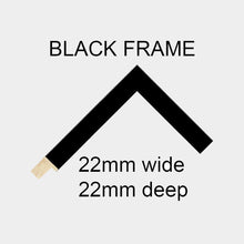 Load image into Gallery viewer, Instax Photo Frame for 20 Instax Mini Photos - Black Frame - Multi Photo Frames
